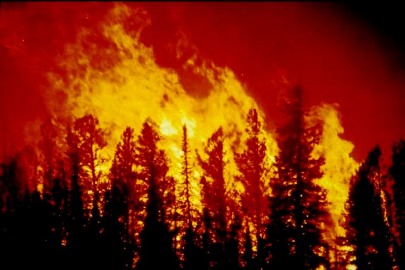 امريكا سلطات ولاية كاليفورنيا تأمر بإجلاء مئات السكان بسبب حرائق