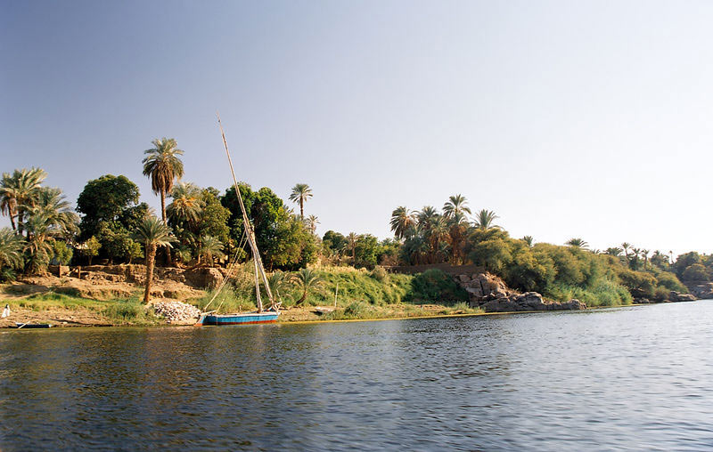 "وطني" داخل "مقياس النيل" بأسوان