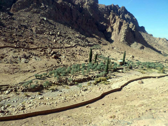 الانتهاء من خطة تطوير وتنمية جبل موسى وجبل الصفصافة والوادي المقدس بمنطقة جنوب سيناء