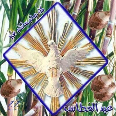 اليوم الكنيسة المصرية تحتفل بعيد الغطاس