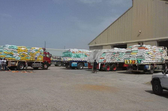وكيل وزارة الزراعة بالإسكندرية يتفقد توريد القمح بصوامع بناكر السلام
