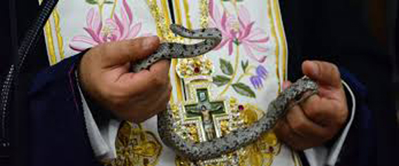 معجزة ظهور "الثعابين" في صوم العذراء تتكرر بدير الراهبات باليونان