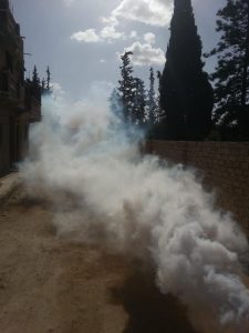 محافظ الاسكندرية يطالب بشن حملات مكثفة لرش المبيدات للقضاء ظاهرة انتشار الذباب والناموس