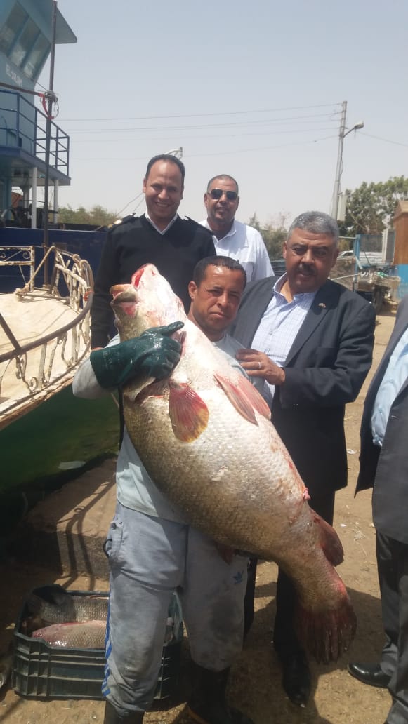 بالصور .. " الزراعة " تتابع أعمال صيد الأسماك بمحافظة أسوان