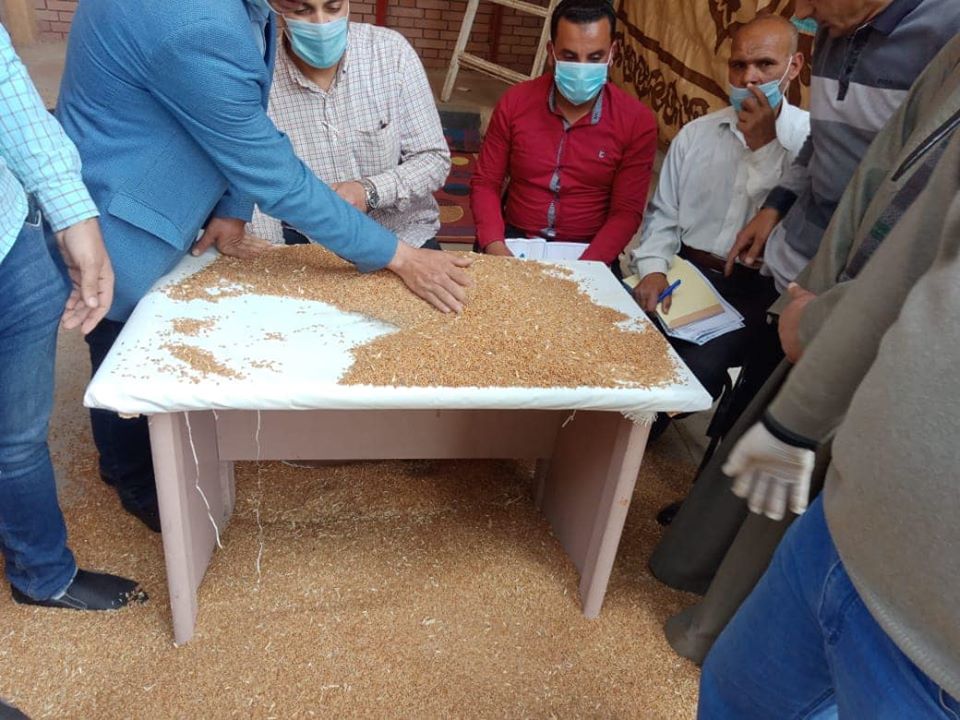 افتتاح موسم توريد القمح من المزارعين بصومعة في الفيوم