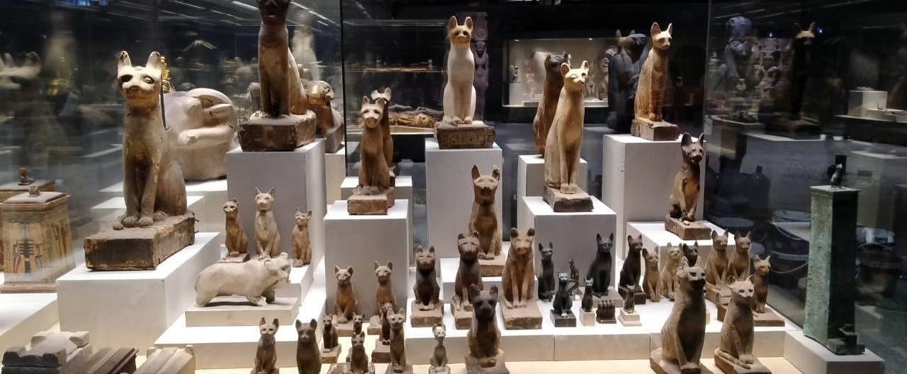 متحف شرم الشيخ ينظم جولة للمرشدين السياحيين لتعريفهم بالمتحف و القطع الأثرية المعروضة وطنى